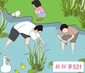 梦见去抓鱼预示