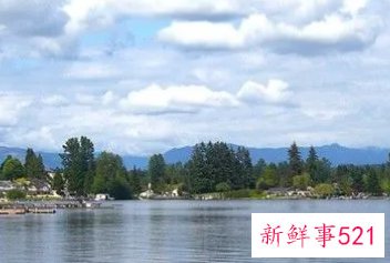 女人梦见拍风景照是什么意思