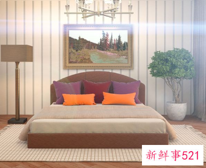 墙的颜色用什么样的好