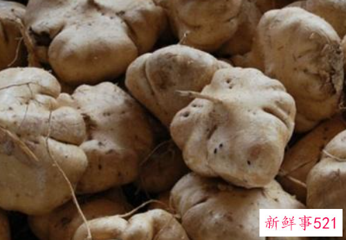 豆薯的养护知识