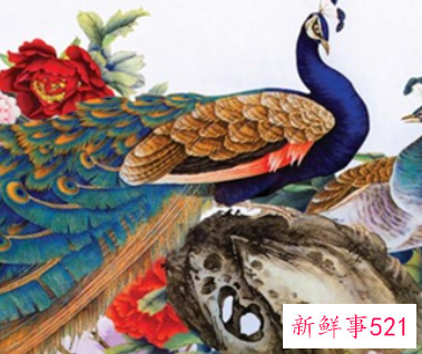 孔雀的特点和生活特征