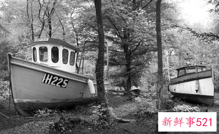 移轴镜头如何使用