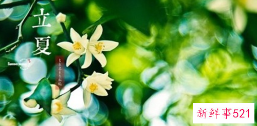 立夏节气特色美食