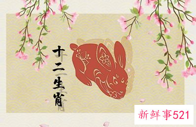 2023年是黑兔年生孩子