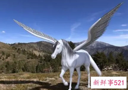 梦见飞马有什么征兆