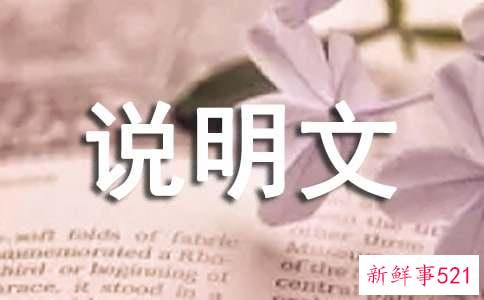 介绍一种事物说明文