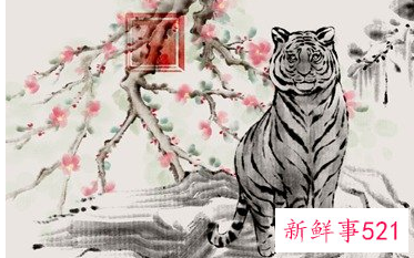 属虎2022年烂桃花