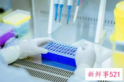 现在新冠核酸检测多长时间出结果