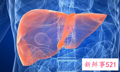 郁金的功效与禁忌