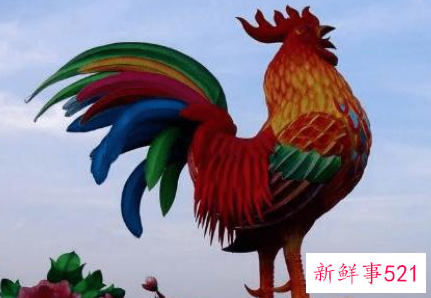 属鸡的嫁给属鸡的好不好