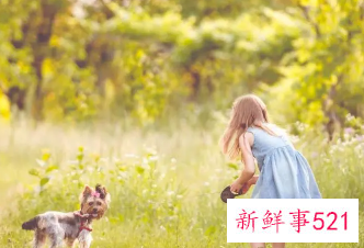 柳姓男孩新颖有涵养的名字