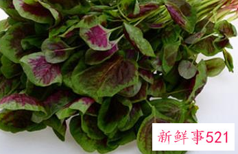 红苋菜的功效与副作用