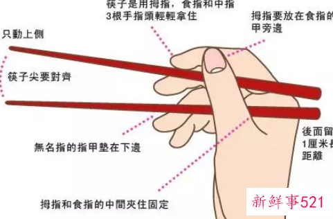 筷子的知识有哪些