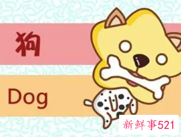 属狗人命中注定的另一半的特征