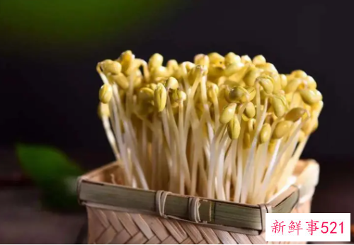 孕妇可以吃黄豆芽吗