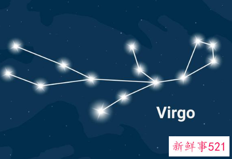 12星座守护花以及花语