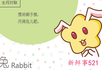 属兔女人出轨表现