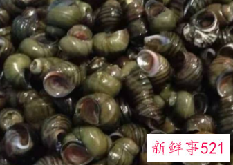 水煮田螺的做法和时间