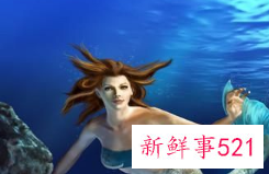 墨鱼有什么营养及禁忌