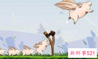 梦见小乳猪追我是什么意思