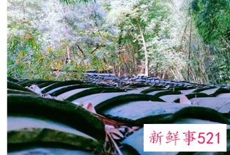 房屋购买纠纷找哪个部门