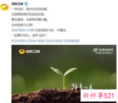 你好星期六主持人名单