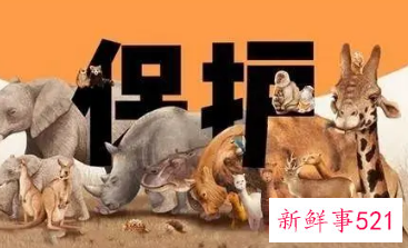 野生动物保护级别系数