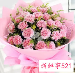 康乃馨适合送什么人