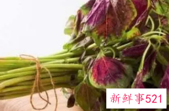 红苋菜的功效与副作用