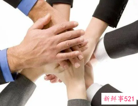 优秀团队应具备的品质