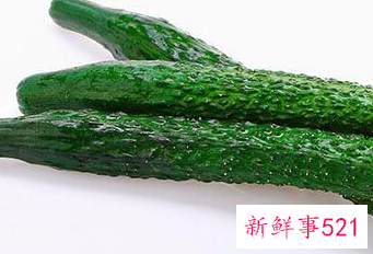 黄瓜的特点和作用