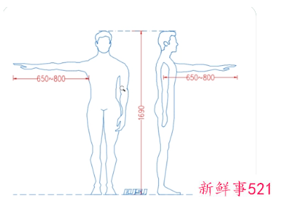 手臂伸展长度和身高比例