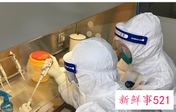 做核酸检测具体做什么