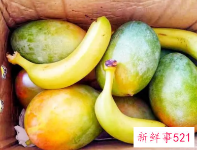 催熟芒果的方法