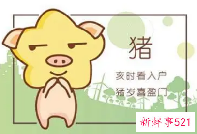 属猪的姻缘在哪个方向