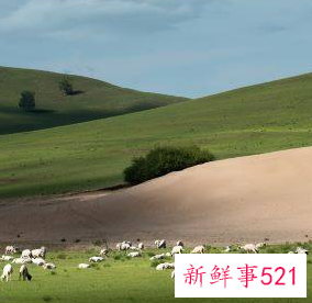 1991年属羊30岁以后命运如何