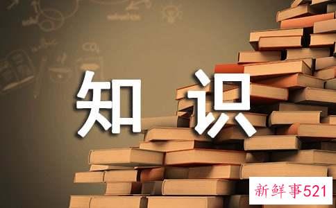 职场礼仪知识——女士篇