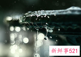 感叹人生无奈心酸的句子简短