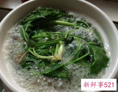 车钱草怎么吃最好