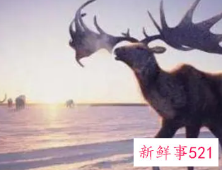 回过神的近义词