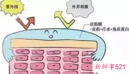 皮脂膜受损的原因有哪些