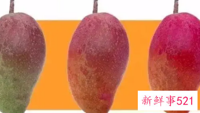 判断芒果熟与不熟