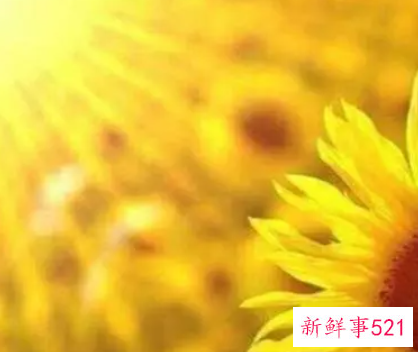 激励心态正能量