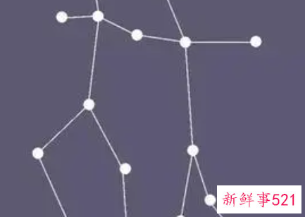 双子女的身材特征