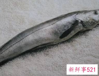 梦见杀鳕鱼是什么意思