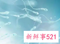 吃什么补精子最快最好