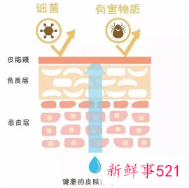 皮脂膜受损的原因有哪些