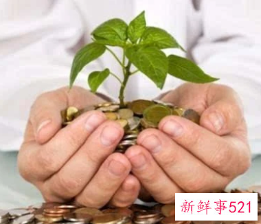 适合夫妻创业的小项目