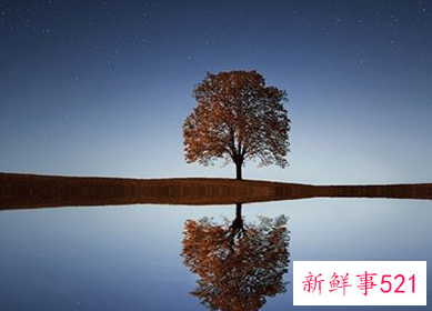 梦见到处都是水什么征兆