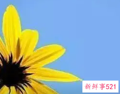 激励心态正能量